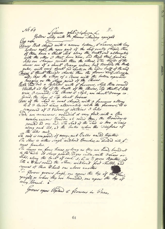 Page 61 of Botanic Manuscript by Jane Colden