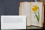 Open book with page on a yellow flower