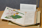 Curtis open book with green leaves