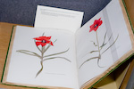 Open book with page of red flower